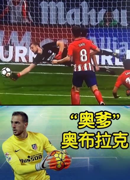 区域都会抬