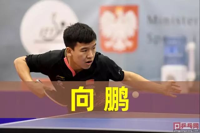 活跃返利与
